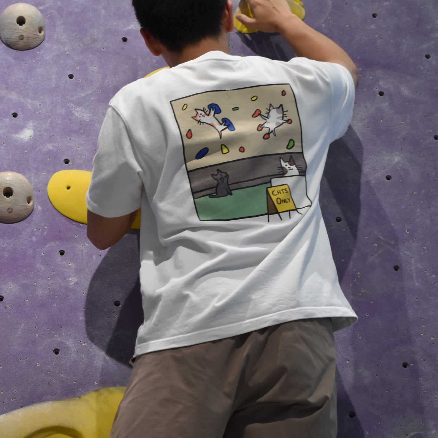 The Original CATS ONLY Tee - White