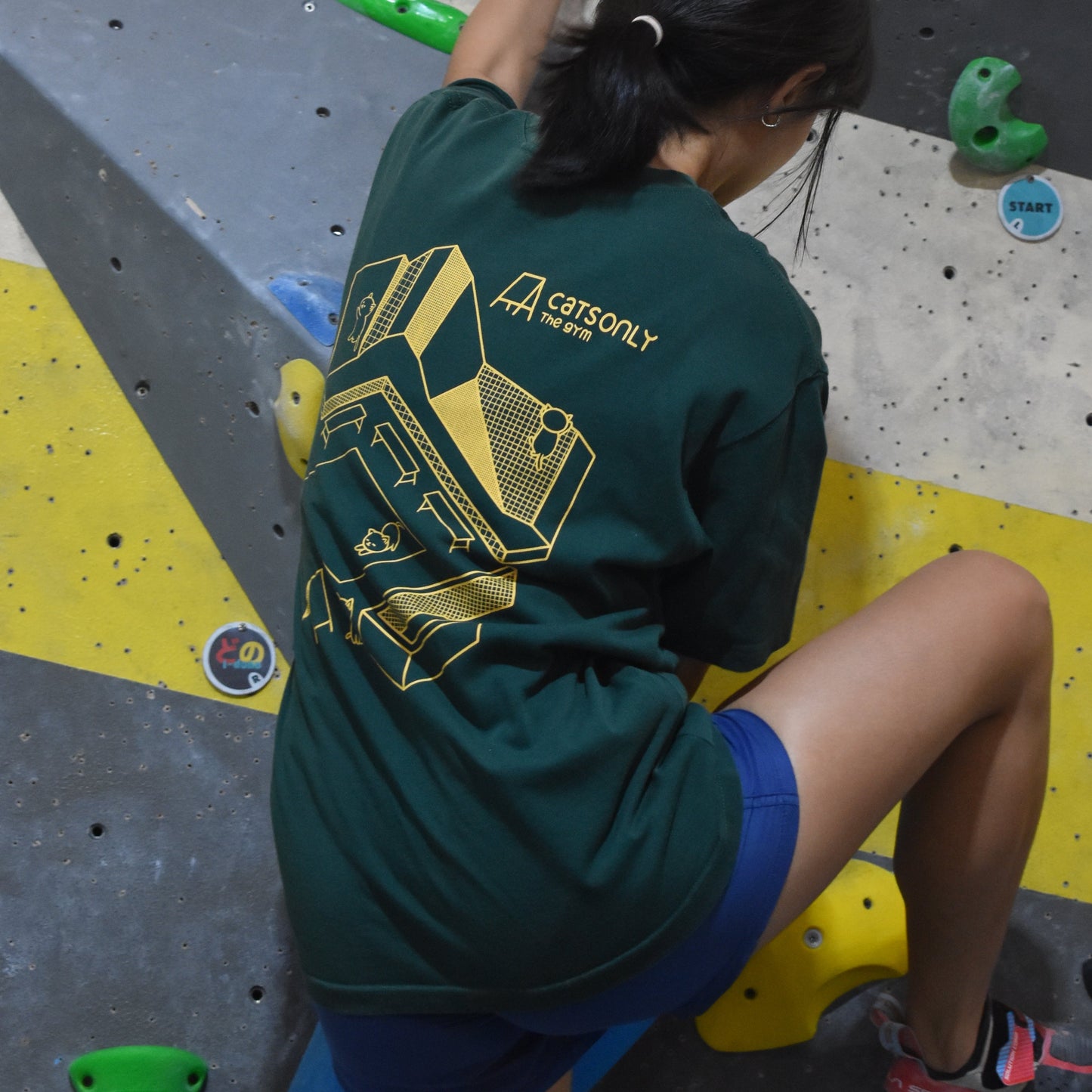 CATS GYM Tee - Forest