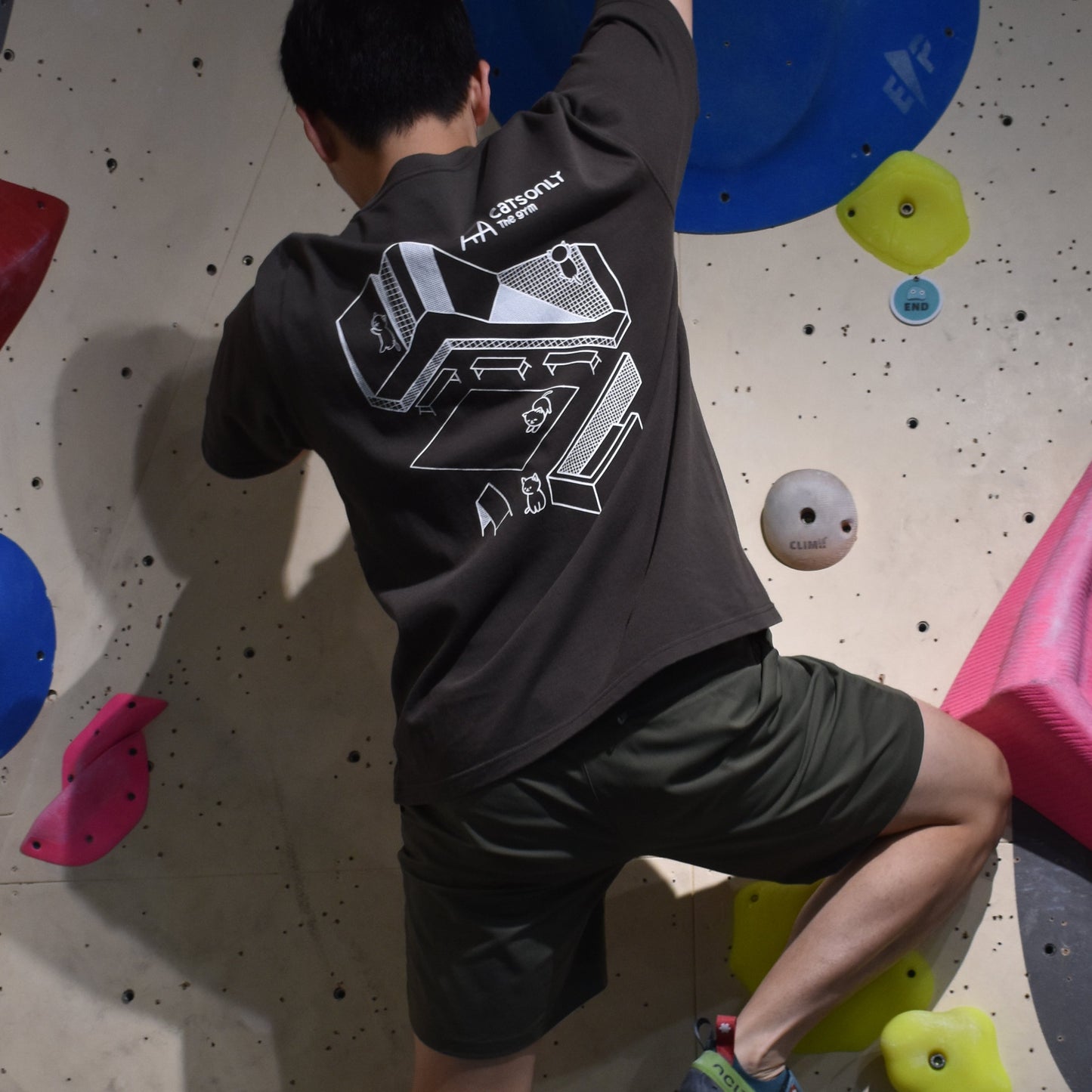 CATS GYM Tee - Chocolate